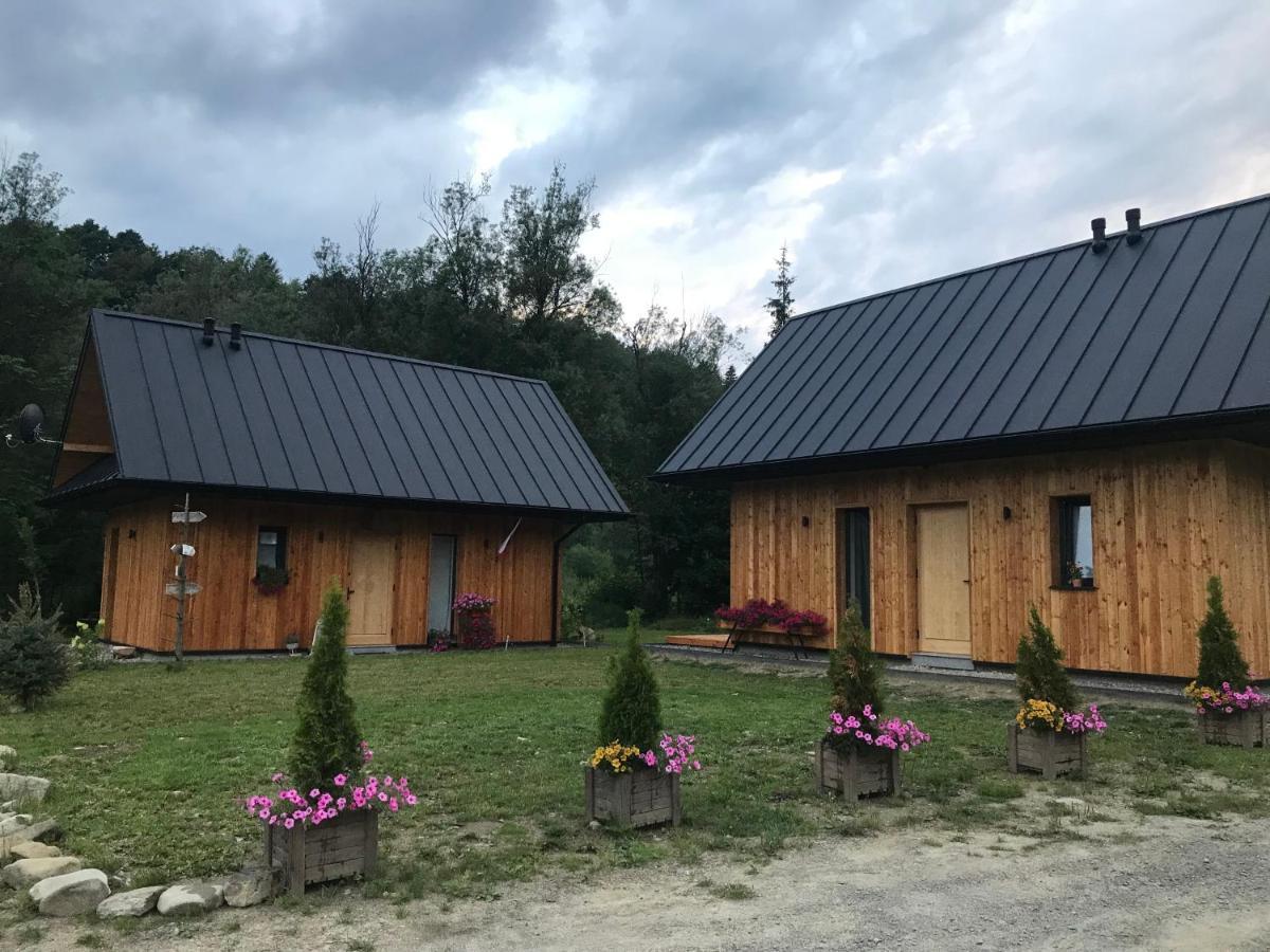 Gorczanska *